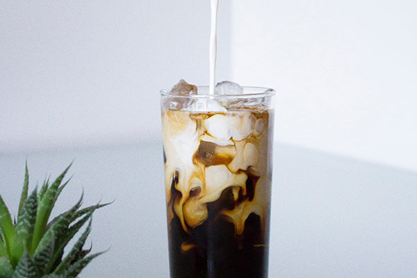 Protein iced coffee shake